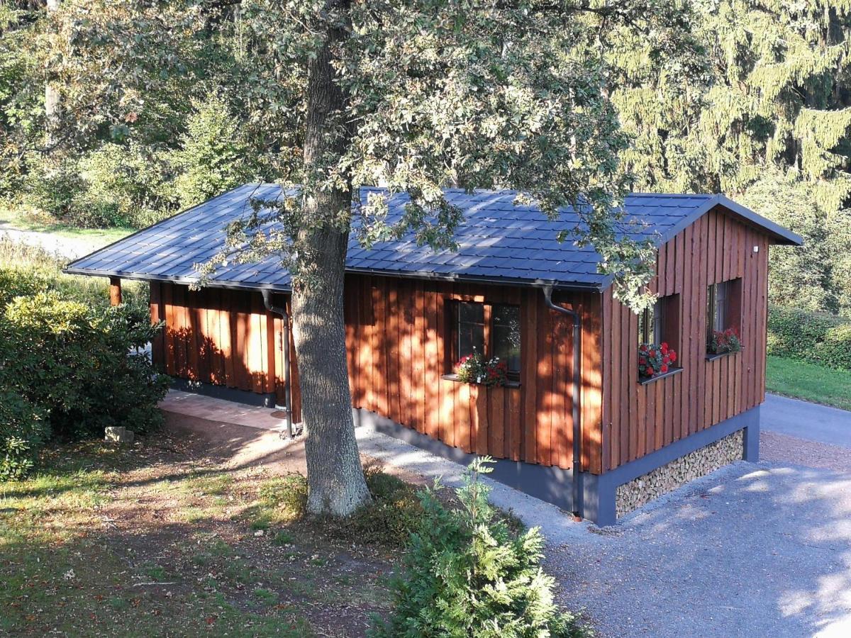 Appartamento Haus Waldfrieden Altenberg  Esterno foto