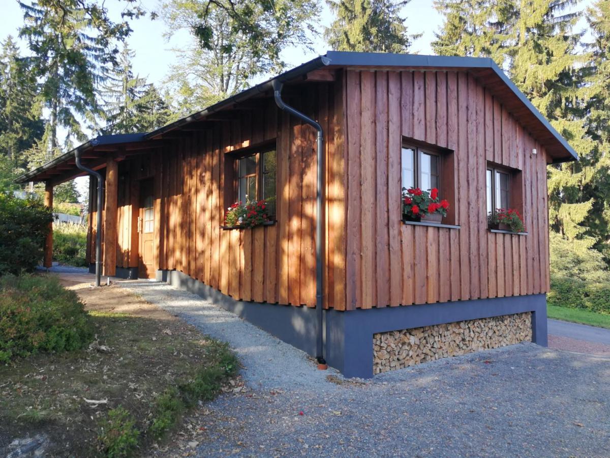 Appartamento Haus Waldfrieden Altenberg  Esterno foto