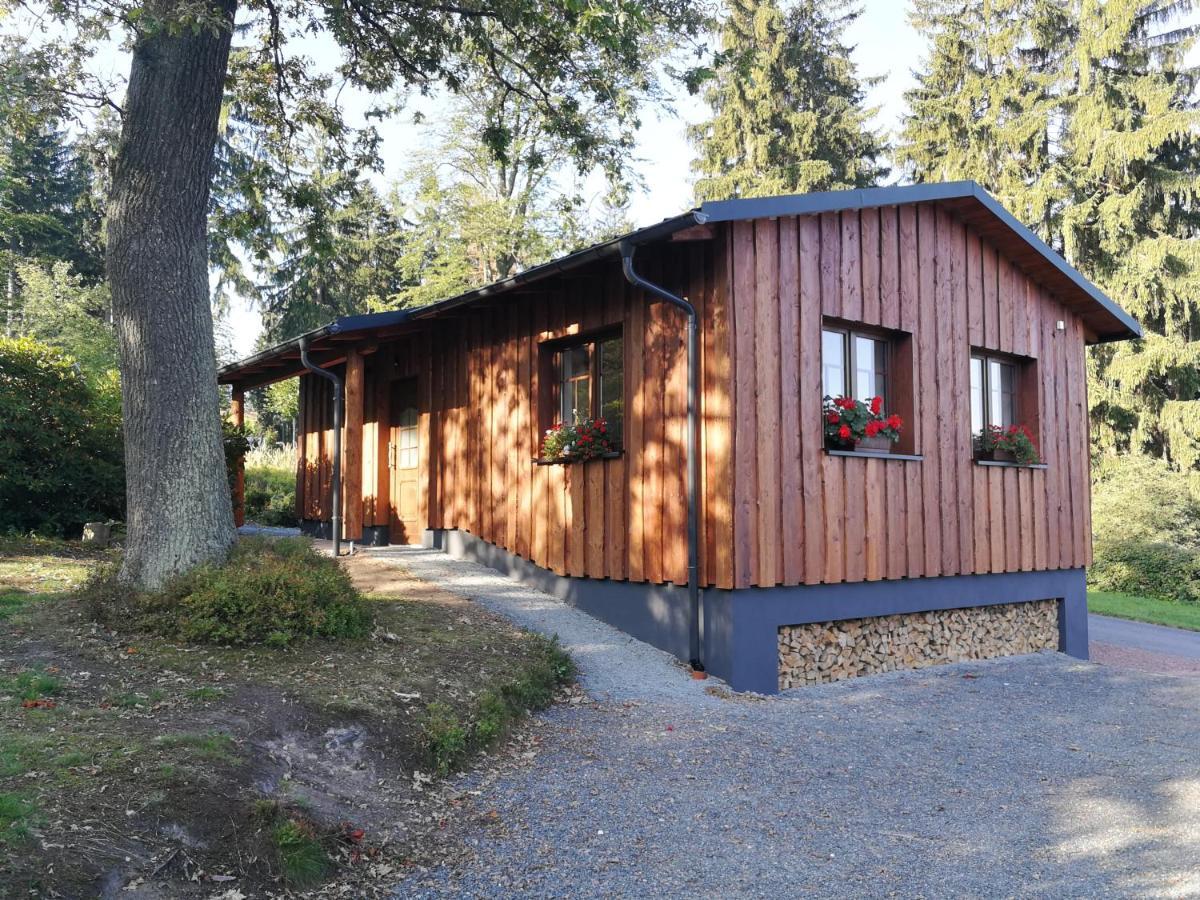 Appartamento Haus Waldfrieden Altenberg  Esterno foto